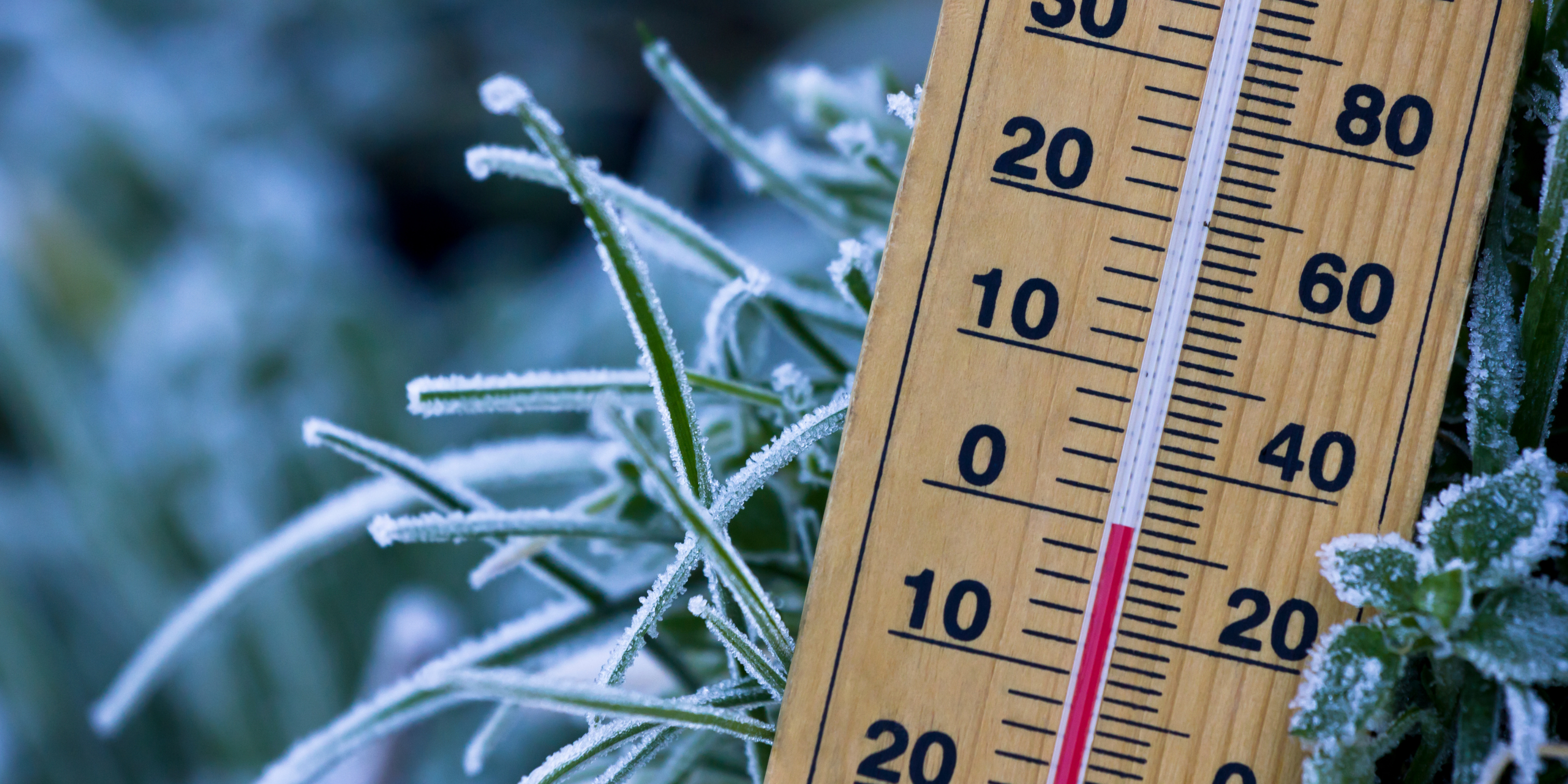 Feeling the cold? We've got you covered